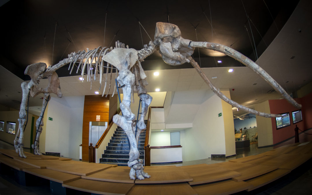 Museo de Ciudad Real