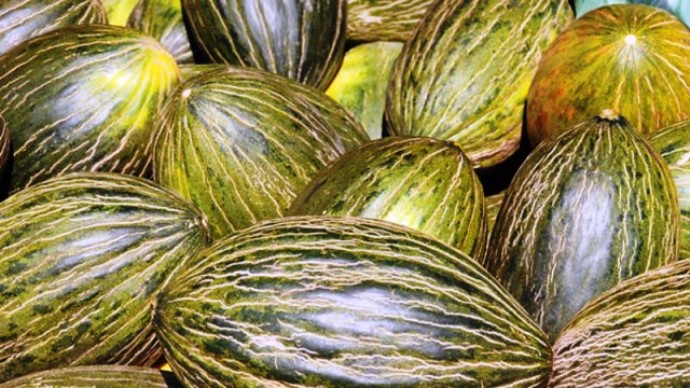 I.G.P. Melón de La Mancha